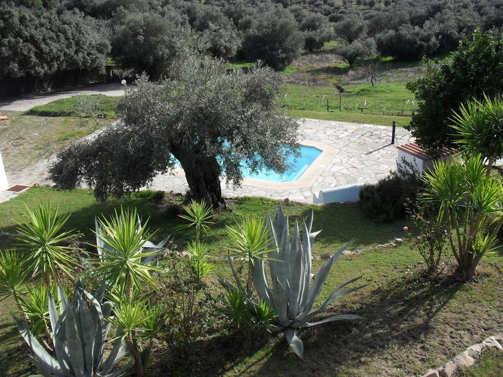 Casa De Campo Quinta Sao Jorge Villa Reguengos de Monsaraz Eksteriør billede