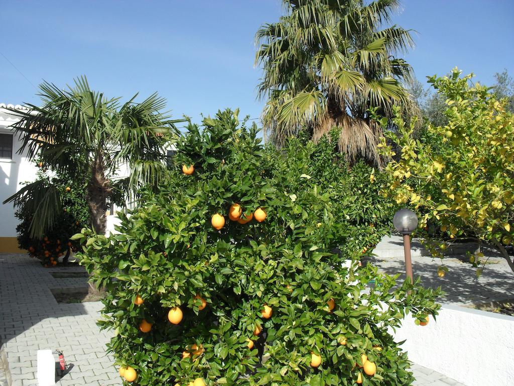 Casa De Campo Quinta Sao Jorge Villa Reguengos de Monsaraz Eksteriør billede